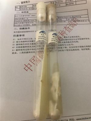 梨孢镰刀菌Fusarium poae ATCC细胞库