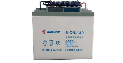 富威FC-600蓄电池免维护通用