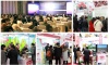 2019上海食品展会上海国际高端食品与饮