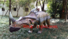 玻璃钢恐龙雕塑 园林景区仿真动物恐龙雕塑