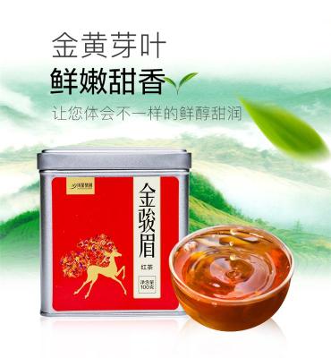 叙府金骏眉正宗工夫红茶新茶浓香型高山散装