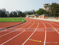 广州新国标塑胶跑道施工建设专业厂家