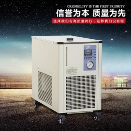 LX-600精密冷水机 长流冷却水循环机