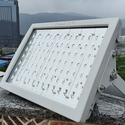 酒厂固态防爆免维护led泛光灯BLD-200W