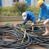 上海电缆线回收有限公司 溴化锂机组回收