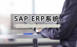 通化SAP软件代理商 SAP ERP软件开发公司