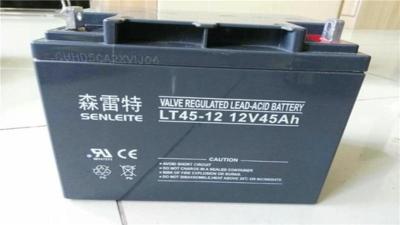 森雷特蓄电池LT40-12 12V40AH直流屏专用
