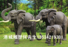 草食性动物玻璃钢大象雕塑园林装饰品