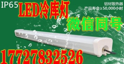 led冷库专用灯-led冷库专用灯