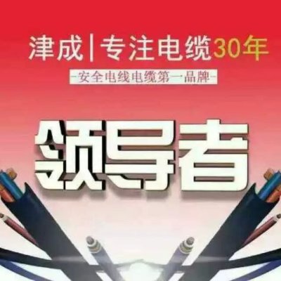 天津津成津成电线电缆电线电缆陕西授权代理