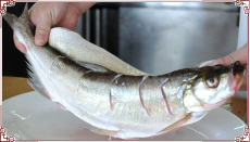 黑龍江白魚多少錢一斤 出售黑龍江大白魚