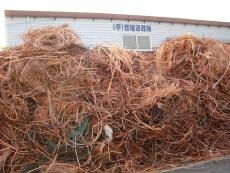 东营市电缆回收厂家提供铝电缆回收价格