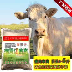 利木赞肉牛育肥预混料肉牛饲料供应商