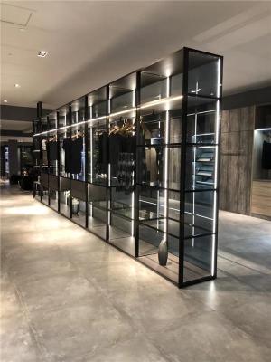 翰诺威新品玻璃柜 玻璃衣柜定制 玻璃衣柜