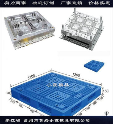 臺(tái)州模具公司PP托盤模具源頭工廠