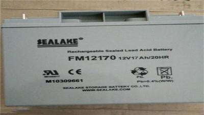 海湖蓄电池FM12380 12V38AH直流屏专用