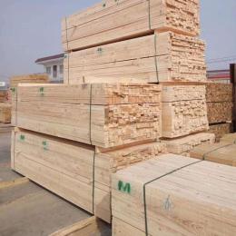沪兴木业优质樟子松建筑木方防腐木龙骨板材