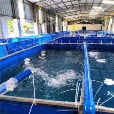 新型养虾帆布水箱-大型养殖对虾帆布水池