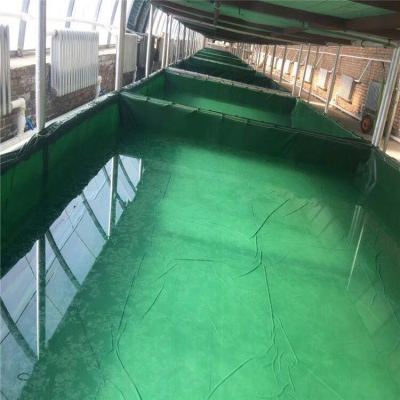 大棚鱼虾养殖帆布池-室内水产养殖帆布水池
