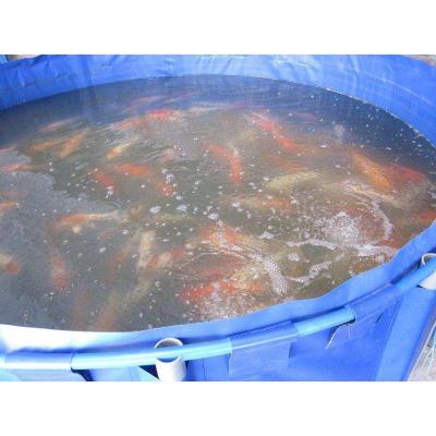 工厂化养殖帆布池-基围虾养殖水池-帆布鱼池