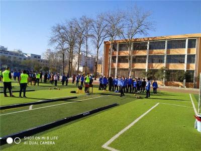 学生体质测试仪体育中考测试坐位体前屈测试