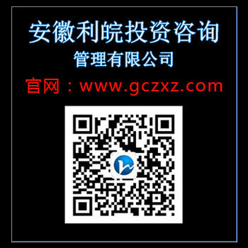 安徽利皖投资咨询商业计划书资金申请报告