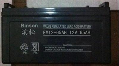BINSON滨松蓄电池铅酸免维护阀门密封式电池