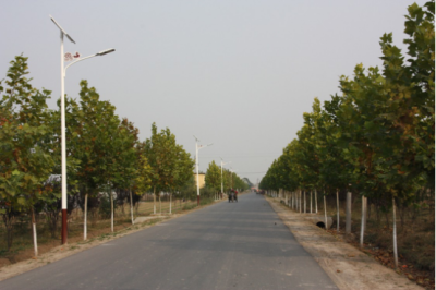 厂区道路照明灯农村太阳能led路灯厂家