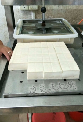 江门全自动豆腐机惠州哪里能够学习豆制品