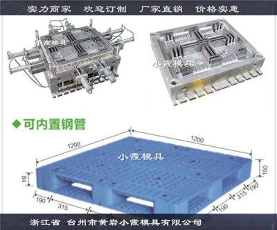 台州注塑模具供应塑胶托盘模具精选厂家