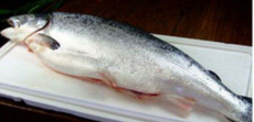 丹麦大西洋鲑鱼进口清关流程/青岛海鲜清关