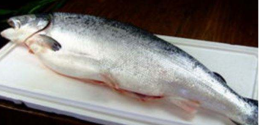 丹麥大西洋鮭魚進(jìn)口清關(guān)流程/青島海鮮清關(guān)