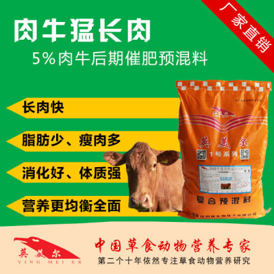 怎么選擇肉牛品種  牛吃什么飼料長(zhǎng)得快