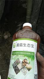 益富源厂家供应姬松茸鸡枞香菇营养液催菇剂