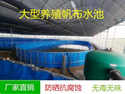 帆布鱼池锦鲤池加厚 定做支架防水池 养鱼池