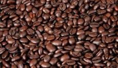 厄瓜多尔咖啡豆进口清关/青岛进口清关公司