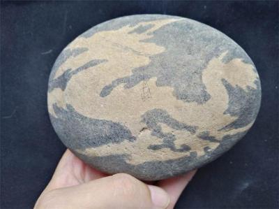 天然龙纹奇石现在的市场价格