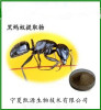 黑蚂蚁提取物多种规格1公斤起订