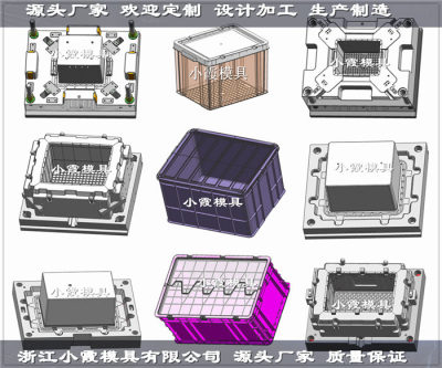臺州注塑模具廠家    PE塑膠寵物箱模具