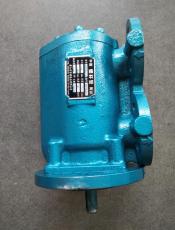 出售SPF20R46G10FW8天门锅炉用循环螺杆泵