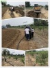 南京50亩桃园滴灌设计清单及现场施工图片