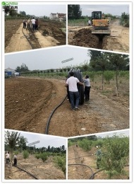 南京50亩桃园滴灌设计清单及现场施工图片