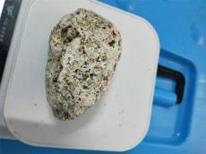 龙涎香上门交易要不要鉴定