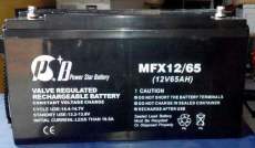 派士博蓄电池MFM12/24正品销售