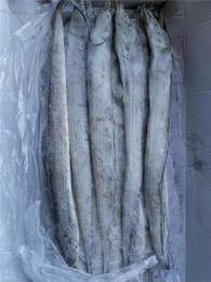 塞內加爾帶魚進口清關代理青島海鮮進口清關