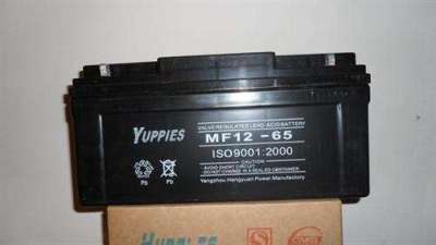 供应YUPPIES优佩斯蓄电池MF250-12 12V-250A