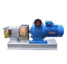 南通水泵厂家生产高粘度转子泵不锈钢转子泵