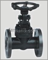 Forged Steel Flanged Gate Valve