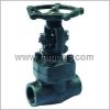 Forged Steel Gate Valve