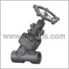 Y type Globe Valve